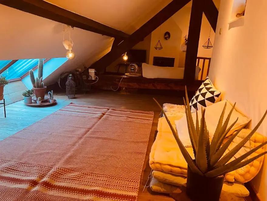 Cozy & Spacious Duplex With An Amazing Terrace Antwerpen Belgien