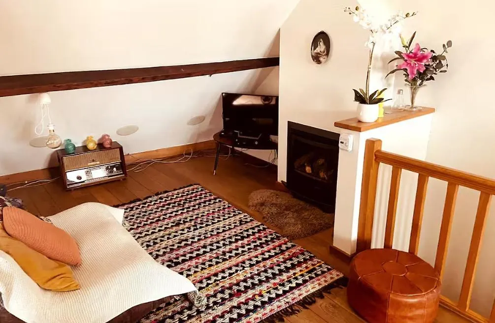 Apartment Cozy & Spacious Duplex With An Amazing Terrace Antwerpen