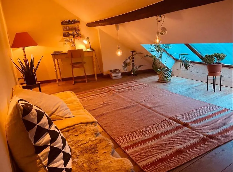 Cozy & Spacious Duplex With An Amazing Terrace Antwerpen Apartment