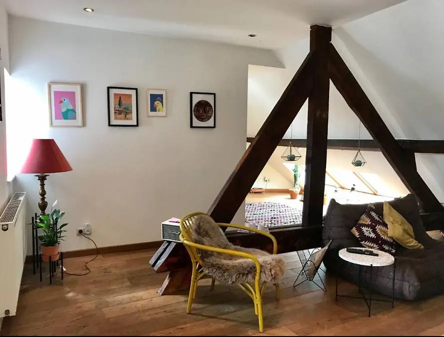 Apartment Cozy & Spacious Duplex With An Amazing Terrace Antwerpen Belgien